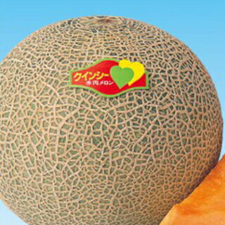 メロン 種 【春のクインシー】 100粒 （ 種 野菜 野菜種子 野菜種 ）
