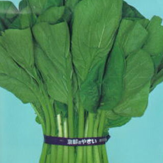 小松菜 種 【新黒葉小松菜】 小袋（約2dl） （ 種 野菜 野菜種子 野菜種 ）