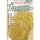 カリフラワー 種 【 ブロッコフラワー 】 1.2ml ( カリフラワーの種 )