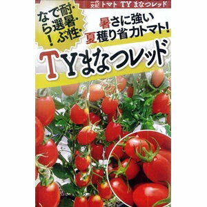 樂天商城 - トマト 種 【 TYまなつ 】 小袋（10粒） ( トマトの種 )
