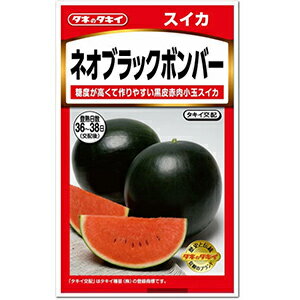 スイカ 種 【 ネオブラックボンバー 】 小袋 ( スイカの種 )