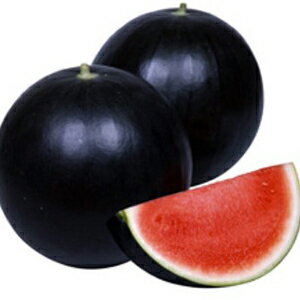 スイカ 種 【 ほお晴れBJ 】 小袋（7粒 ( スイカの種 )