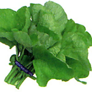 中国野菜 種 【 バイアム（ヒユナ） 】 小袋 ( 中国野菜の種 )のサムネイル