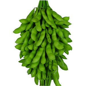 エダマメ 種 【 神風香 】 小袋（70ml） ( エダマメの種 )