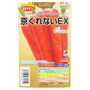 にんじん 種 【 京くれないEX 】 ペレット200粒 ( 種 野菜 野菜種子 野菜種 )