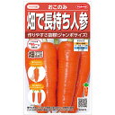 ニンジン 種 【 おこのみ 】 実咲小袋 ( ニンジンの種 )