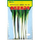 ネギ 種 【 東京夏黒2号 】 種子 小袋(約20ml) ( 種 野菜 野菜種子 野菜種 )