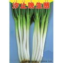 ネギ 種 【 汐止晩生 】 種子 小袋(約20ml) ( 種 野菜 野菜種子 野菜種 ) ★