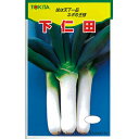 ネギ 種  種子 小袋（約10mL） （ 種 野菜 野菜種子 野菜種 ）