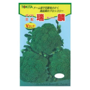 ブロッコリー 種 【 瑞麟 】 種子 20ml ( 種 野菜 野菜種子 野菜種 )