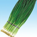ネギ 種 【 ジャワ夏 】 種子 小袋(約20ml) ( 種 野菜 野菜種子 野菜種 )