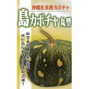 かぼちゃ 種 【沖縄島かぼちゃ丸型】 1dl ( 種 野菜 野菜種子 野菜種 )