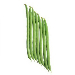 樂天商城 - つるありいんげん 種 【ナリブシ】 1dl （ 種 野菜 野菜種子 野菜種 ）