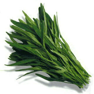 エンサイ 種 【 なつサラダ 】 種子 小袋（約1dl） （ 種 野菜 野菜種子 野菜種 ）