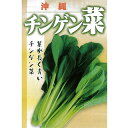 ちんげん菜 種 【 沖縄長茎ちんげんさい 】 種子 小袋(約10ml) ( 種 野菜 野菜種子 野菜種 )