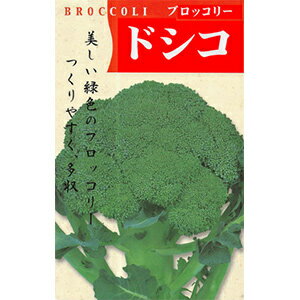 ブロッコリー 種 【 ドシコ 】 20ml ( ブロッコリーの種 )