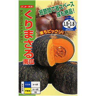 かぼちゃ 種 【くりまさる】 100粒 （ 種 野菜 野菜種子 野菜種 ）