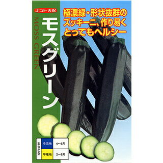 ズッキーニ 種 【モスグリーン】 100粒 ( 種 野菜 野菜種子 野菜種 )