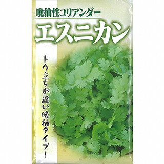まとめ買いについて：メール便で10袋まで同梱できます。種子と責任種子は努めて純良なものをご用意しておりますが、商品の性質上100%の純度や発芽は望めません。商品の包装等に記載のある、発芽試験結果を満たした商品をお届けいたします。発芽は播種後の条件により結果が異なるため、温度や水分などを品目ごとに適した条件下で管理してください。不適条件下では発芽しないことがあり、また100%同一ではなく、まれに異株が出る場合がございます。種子・苗などについて、発芽後および植えつけ後の栽培条件や天候などによって結果が異なりますので、商品の生長後や収穫物に対する補償はいたしかねます。また商品の性質上、結果不良につきましてはお買い上げ金額の範囲内とさせていただきます。(お客様の栽培管理や気象条件による結果不良につきましては、その責任を負いかねます)独自に加工されたものや、お届け後に有効期限を超えられたものにつきましては責任を負いかねます。野菜などの収穫物については、品種の特性や栽培条件などにより生育に差が生じることがあり、収穫物のサイズ、重量、味などは掲載表現と異なる場合がございます。エスニカントウ立ちが遅い。コリアンダーは東南アジア、中国、中南米の料理の薬味として幅広く使われ、特有の香りがある。高温期でも樹勢が強く生育怠慢になりにくい。晩抽性で栽培期の幅が広い。葉は大きくて香りは中程度。立性で葉茎数が多く重量がある。　 地域 蒔き時期（露地） 蒔き時期(ハウス・トンネル等） 寒地・冷涼地 3月中旬〜4月下旬（4月下旬まで保温） − 中間地 3月上旬〜9月下旬（4月上旬まで保温） − 暖地 2月中旬〜10月中旬（3月下旬まで保温） − 小袋種子の内容量表記について農作物である商品の特性上、小袋パッケージの商品に関しましては、販売時期により、内容量が変更になる場合があります。商品名に内容量が記載されている場合がございますが、あくまで目安であり、1mlほど前後するものとお考え下さい。また、内容量が増減したことによる価格の変更もありません。あらかじめご了承いただいた上で、ご注文をお願いいたします。