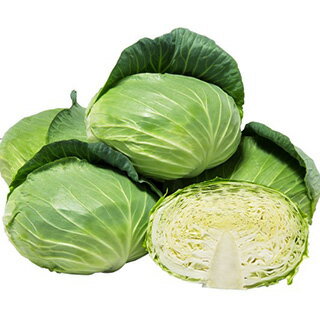 キャベツ 種 【 F1翠青 】 小袋（1ml） ( キャベツの種 )