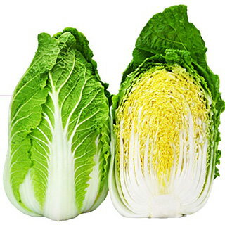 ハクサイ 種 【 黄よろこび 】 20ml ( ハクサイの種 )