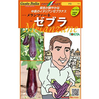 樂天商城 - ナス 種 【 メランツァーネ・ゼブラ 】 100粒 ( ナスの種 )