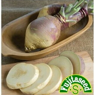 カブ 種 【 ルタバガ2 】 小袋 ( カブの種 )のサムネイル