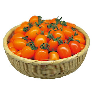 ミニトマト 種 【 デコオランジェ 】 小袋（12粒） ( ミニトマトの種 )のサムネイル