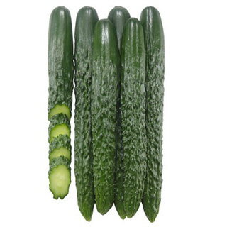 キュウリ 種 【 ぱりぽり王子 】 小袋 ( キュウリの種 )