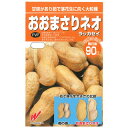 落花生 種 【 おおまさりネオ(むき実) 】 30ml ( ラッカセイの種 ) PVP 登録品種名:おおまさりネオ 登録番号:29271 海外持出禁止