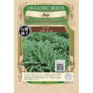 有機種子 ハーブ 種 【 コモンセージ 】 小袋 ( ハーブの種 )