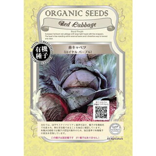 有機種子 スプラウト 種 【 赤キャベツ 】 小袋 ( スプラウトの種 )