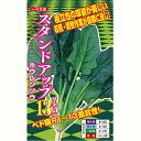 ほうれん草 種 【 スタンドアップ13 】 1dl ( ほうれん草の種 )