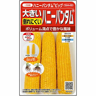 メール便で10袋まで同梱できます。 種子と責任種子は努めて純良なものをご用意しておりますが、商品の性質上100%の純度や発芽は望めません。商品の包装等に記載のある、発芽試験結果を満たした商品をお届けいたします。発芽は播種後の条件により結果が異なるため、温度や水分などを品目ごとに適した条件下で管理してください。不適条件下では発芽しないことがあり、また100%同一ではなく、まれに異株が出る場合がございます。種子・苗などについて、発芽後および植えつけ後の栽培条件や天候などによって結果が異なりますので、商品の生長後や収穫物に対する補償はいたしかねます。また商品の性質上、結果不良につきましてはお買い上げ金額の範囲内とさせていただきます。(お客様の栽培管理や気象条件による結果不良につきましては、その責任を負いかねます)独自に加工されたものや、お届け後に有効期限を超えられたものにつきましては責任を負いかねます。野菜などの収穫物については、品種の特性や栽培条件などにより生育に差が生じることがあり、収穫物のサイズ、重量、味などは掲載表現と異なる場合がございます。ハニーバンタムビック大きな実が収穫できるとにかく大きな実が収穫でき、食べ応えがあります。 大きいだけでなく、風味豊かでおいしいトウモロコシです。根の張りがよく、強風などによる倒れに比較的強いため、安心して栽培することができます。　 地域 蒔き時期（露地） 蒔き時期(ハウス・トンネル等） 寒地・冷涼地 5月中旬～6月下旬 − 中間地 4月上旬～6月上旬 − 暖地 4月上旬～6月上旬 − 小袋種子の内容量表記について農作物である商品の特性上、小袋パッケージの商品に関しましては、販売時期により、内容量が変更になる場合があります。商品名に内容量が記載されている場合がございますが、あくまで目安であり、1mlほど前後するものとお考え下さい。また、内容量が増減したことによる価格の変更もありません。あらかじめご了承いただいた上で、ご注文をお願いいたします。