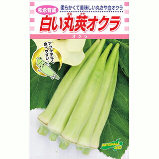 樂天商城 - オクラ 種 【 白い丸莢オクラ 】 小袋（1000粒） ( オクラの種 )