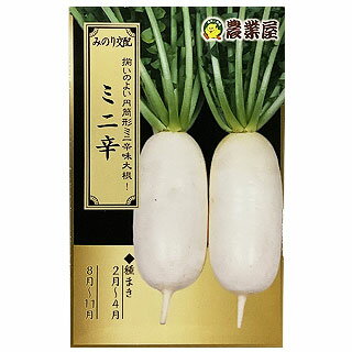 ダイコン 種 【 ミニ辛 】 小袋( ダイコンの種 )