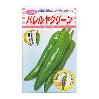 ピーマン 種 【 ハレルヤ グリーン 】 小袋 ( ピーマンの種 )