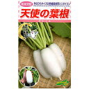 ダイコン 種 【 天使の葉根 】 20ml ( ダイコンの種 )