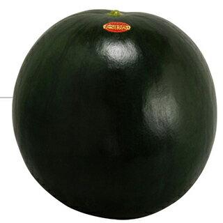 スイカ 種 【 種なしスイカ たべほうだい黒王 】 小袋 ( スイカの種 )