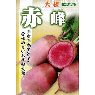 樂天商城 - ダイコン 種 【 赤峰 】 小袋（5ml） ( ダイコンの種 )