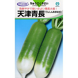 ダイコン 種 【 天津青長 】 20ml ( ダイコンの種 ) | 農業屋.com