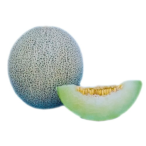 メロン 種 【 タカミレ