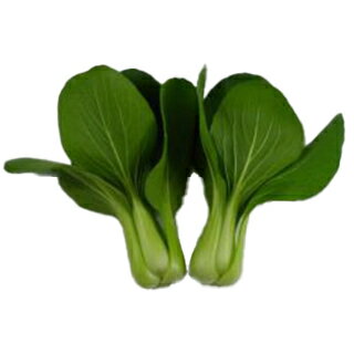 チンゲンサイ 種 【 ニイハオ・メイ 】 小袋 ( チンゲンサイの種 )