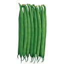 つるなし菜豆(丸莢) 種 【 バトン 】 小袋(10ml) ( つるなし菜豆(丸莢)の種 )