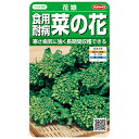 菜の花 種 【 耐病食用菜の花 花娘 】 実咲小袋 ( 菜の花の種 )