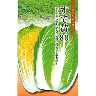 まとめ買いについて：メール便で10袋まで同梱できます。種子と責任種子は努めて純良なものをご用意しておりますが、商品の性質上100%の純度や発芽は望めません。商品の包装等に記載のある、発芽試験結果を満たした商品をお届けいたします。発芽は播種後の条件により結果が異なるため、温度や水分などを品目ごとに適した条件下で管理してください。不適条件下では発芽しないことがあり、また100%同一ではなく、まれに異株が出る場合がございます。種子・苗などについて、発芽後および植えつけ後の栽培条件や天候などによって結果が異なりますので、商品の生長後や収穫物に対する補償はいたしかねます。また商品の性質上、結果不良につきましてはお買い上げ金額の範囲内とさせていただきます。(お客様の栽培管理や気象条件による結果不良につきましては、その責任を負いかねます)独自に加工されたものや、お届け後に有効期限を超えられたものにつきましては責任を負いかねます。野菜などの収穫物については、品種の特性や栽培条件などにより生育に差が生じることがあり、収穫物のサイズ、重量、味などは掲載表現と異なる場合がございます。すて黄80根こぶ病に強く、肥大性に優れた、黄芯系中生種！外葉は濃緑、球内色は鮮やかで濃い黄色、播種後80日程度で収穫できる中生種です。球頭は浅く包被し、球姿は尻張り・胴張りの良い円筒形で市場性に優れ、球重は2.5〜3kgになる多収性品種です。軟腐病・根こぶ病・べと病等に強く、石灰欠乏症（縁腐れ・芯腐れ）や、ゴマ症などの生理障害の発生も少なく、生育は旺盛で栽培容易です。肉質は柔らかく甘味があり、漬物・煮物にして食味良好です結球性・肥大性にすぐれ、中間地の8月下旬〜9月上旬まき、暖地の9月上中旬まきでの 栽培に適します。　 地域 蒔き時期（露地） 蒔き時期(ハウス・トンネル等） 寒地・冷涼地 7月上旬〜8月上旬 − 中間地 8月下旬〜9月上旬 − 暖地 8月下旬〜9月上旬 − 小袋種子の内容量表記について農作物である商品の特性上、小袋パッケージの商品に関しましては、販売時期により、内容量が変更になる場合があります。商品名に内容量が記載されている場合がございますが、あくまで目安であり、1mlほど前後するものとお考え下さい。また、内容量が増減したことによる価格の変更もありません。あらかじめご了承いただいた上で、ご注文をお願いいたします。