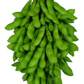 エダマメ 種 【 神風香 】 無処理種子1L ( エダマメの種 )...