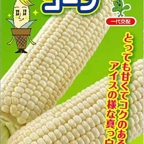 トウモロコシ 種 【 アイスクリームコーン 】 200粒 ( トウモロコシの種 )