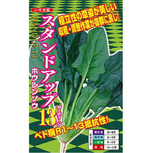 樂天商城 - ホウレンソウ 種 【 スタンドアップ13 】 Sテープ小袋 10m（5cm×3粒） ( ホウレンソウの種 )