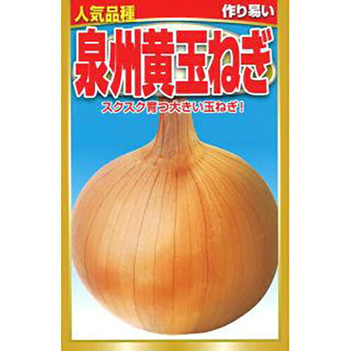 玉ねぎ 種 【 泉州黄玉ねぎ 】 2dl ( 玉ねぎの種 )